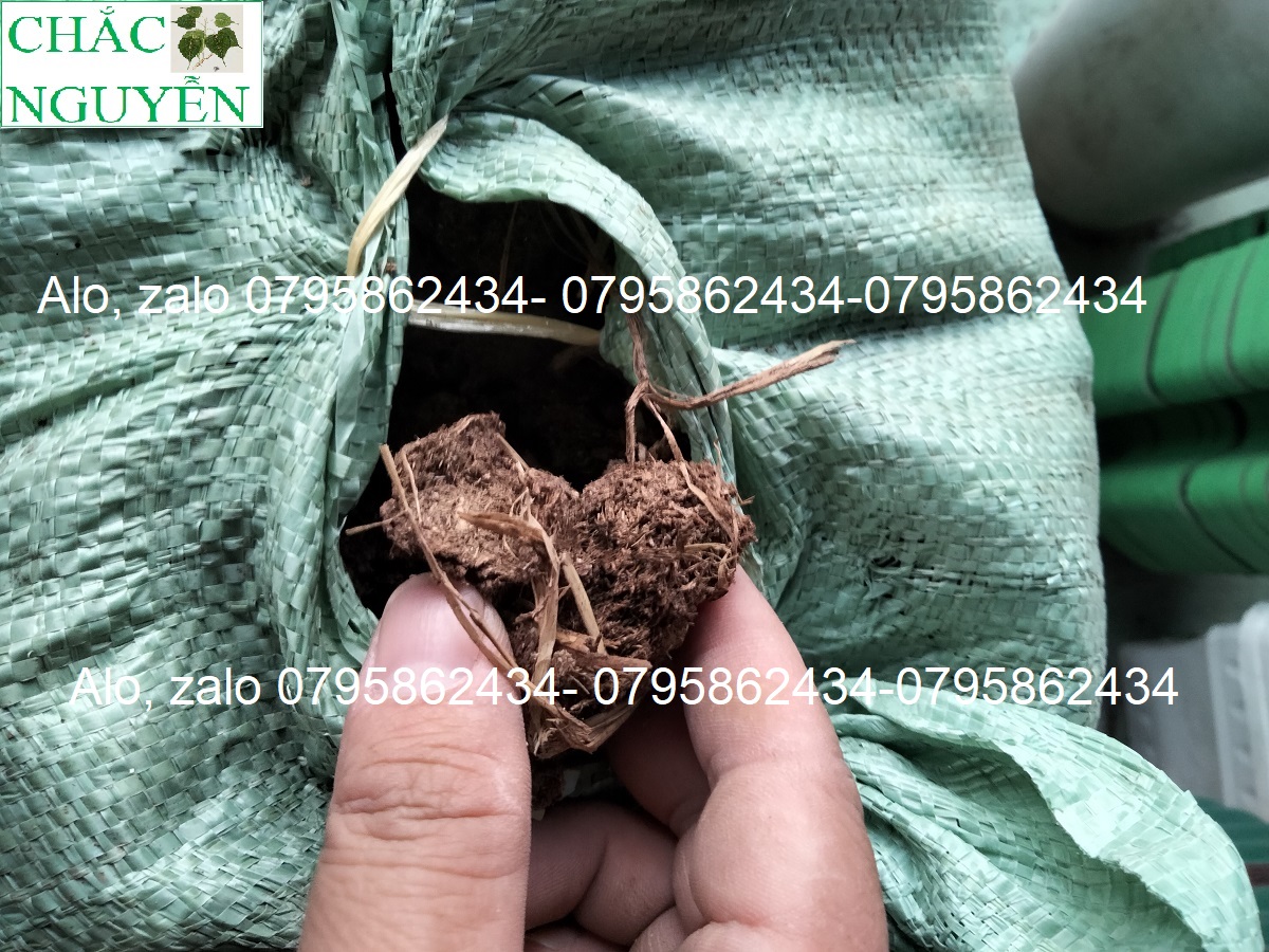 phân bò khô bao 40dm3