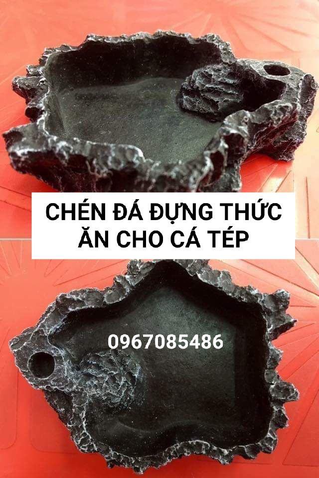 CHÉN ĐÁ CHO CÁ , TÉP CẢNH , DỤNG CỤ CHO CÁ , TÉP CẢNH ĂN