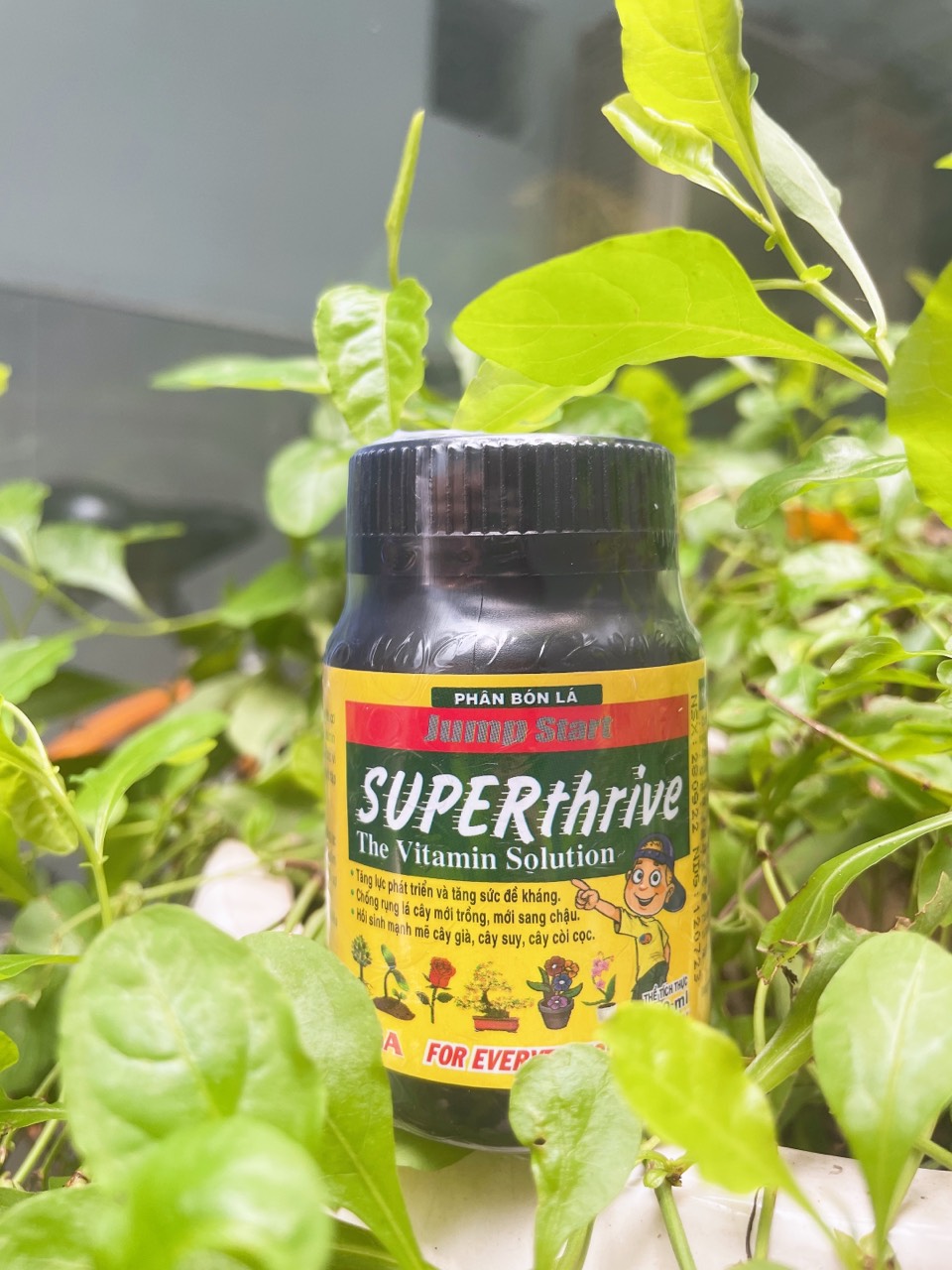 Phân Bón Lá Jump Start - Superthrive the vitamin solution 100ml