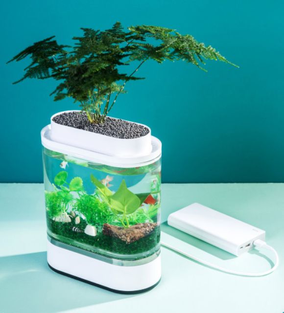 Bể cá thủy sinh thông minh Xiaomi HFJH Mini