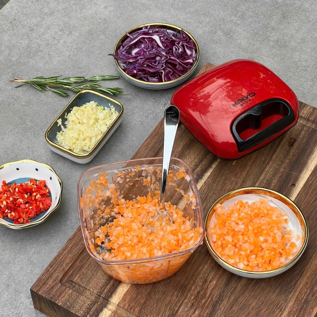 Kaiyo Premium Garlic Chopper Manual Kitchen Tool