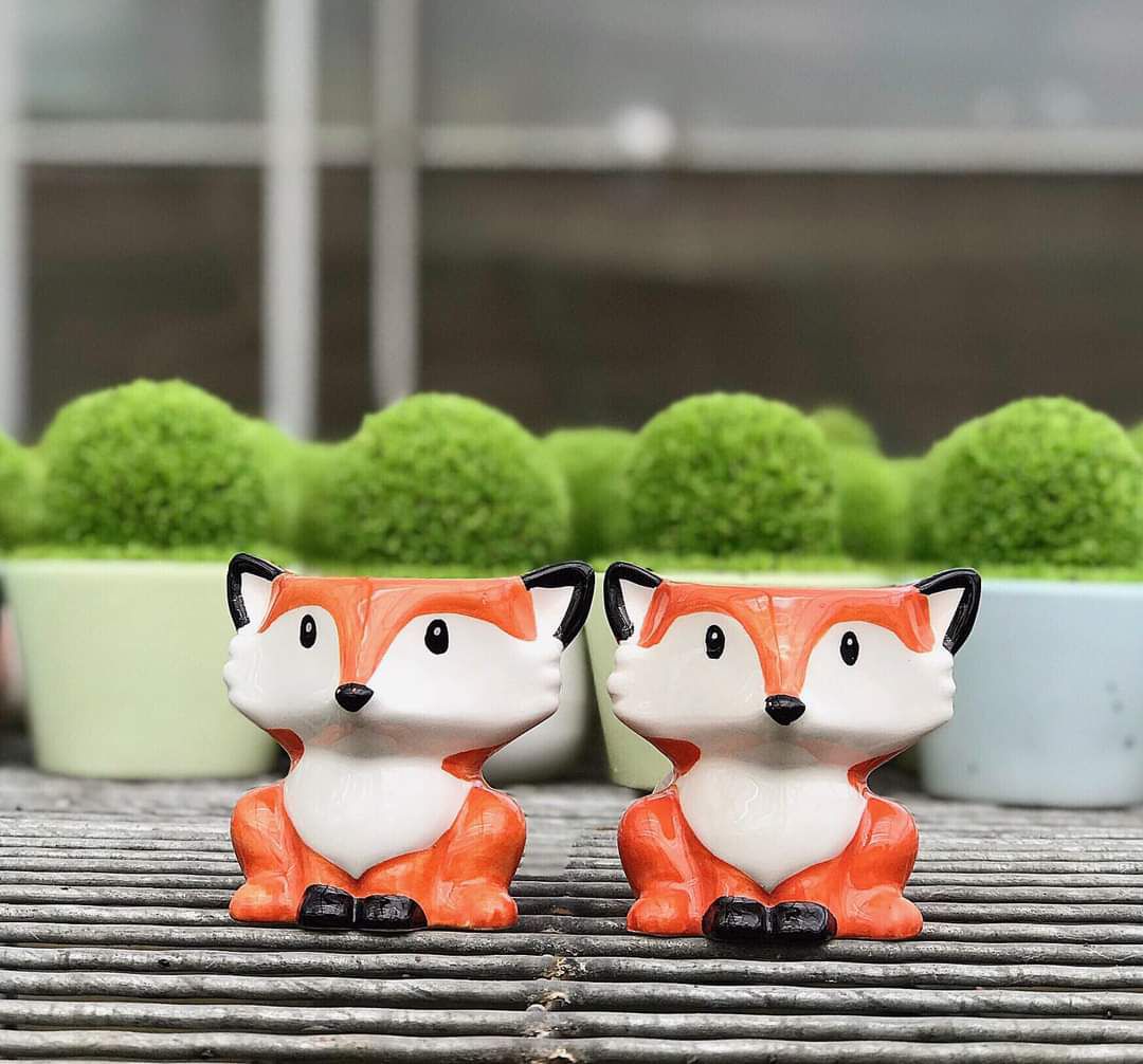 6 chậu gốm mini hình con vật cute.