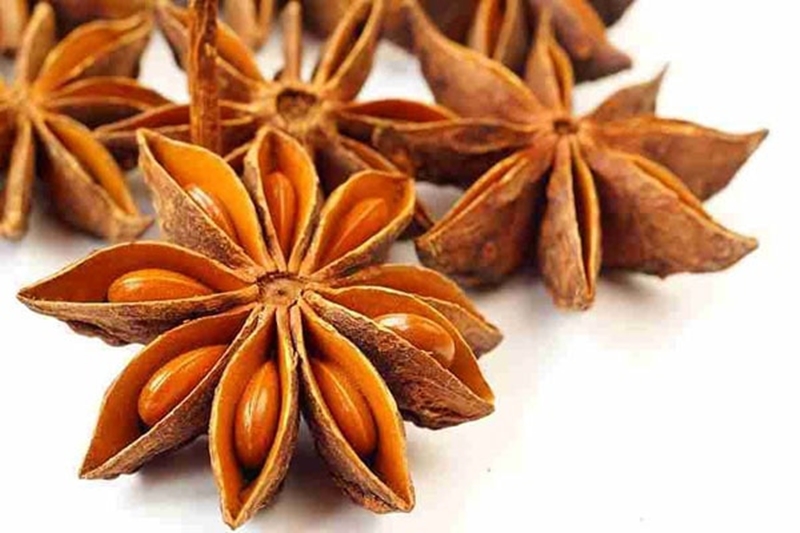 Hoa hồi Vipep 15g