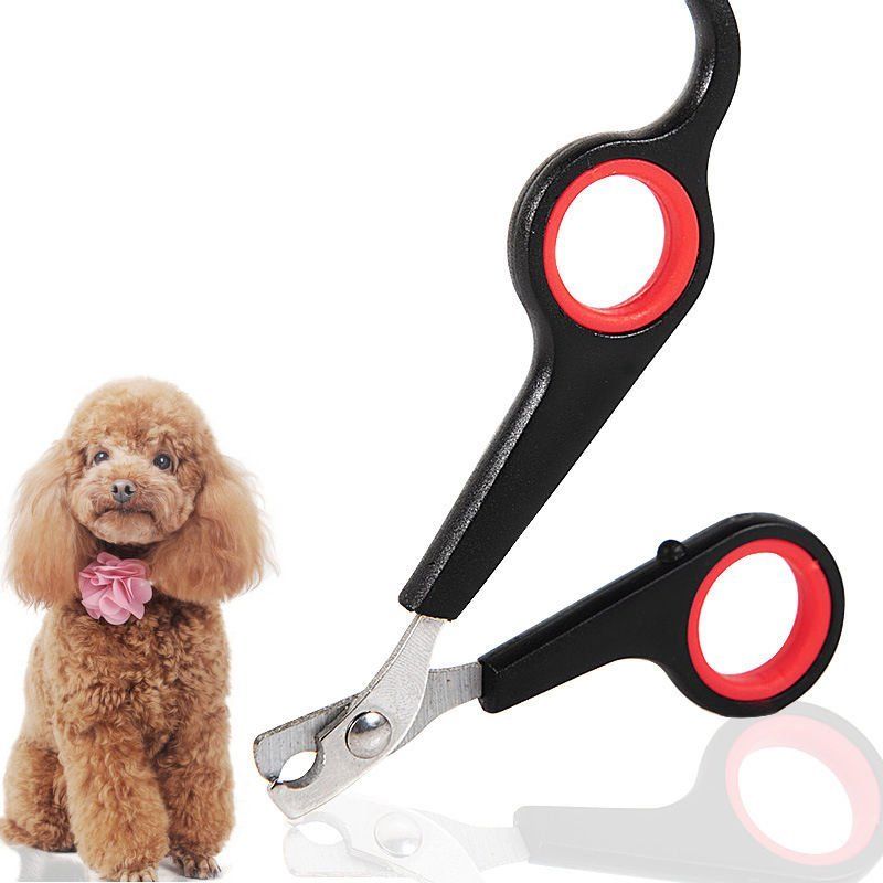 Dụng Cụ Chăm Sóc Móng Cho Thú Cưng ama113