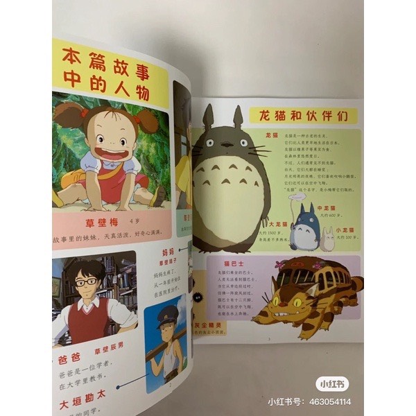 Hàng xóm của tôi là Toroto
