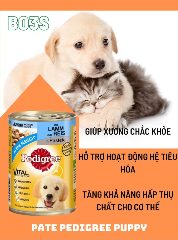 PATE - PEDIGREE PUPPY - BEEF TASTES (VỊ BÒ)