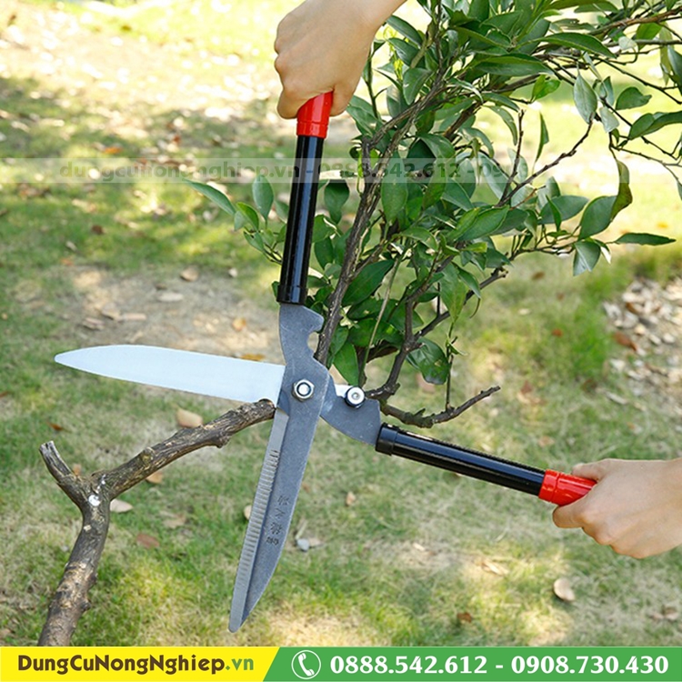 Kéo cắt cỏ hàng rào 53cm