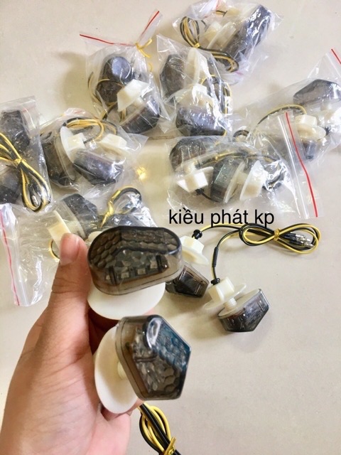 Xi nhan Winner X kiểu bọ