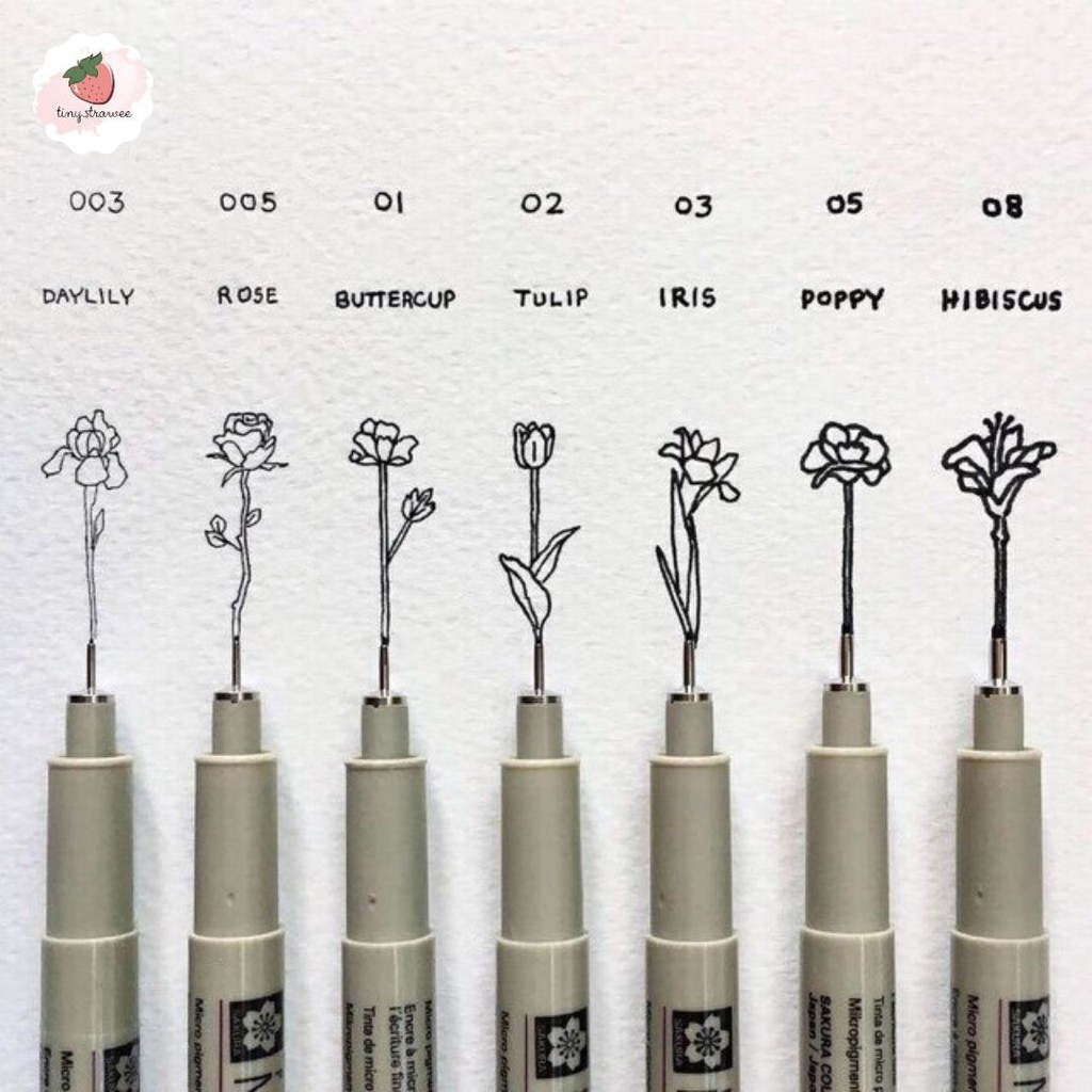 Bút đi nét Micron Sakura