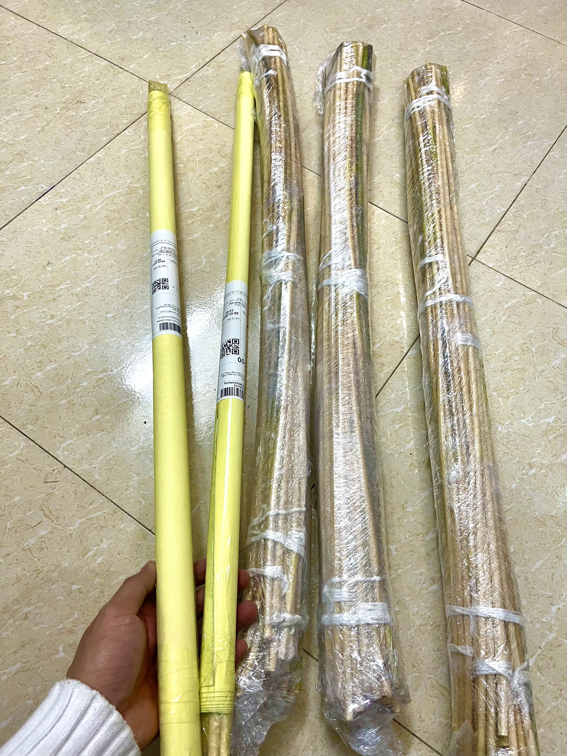 Cây Mây Dẻo Dai - Sử Dụng Để Trang Trí