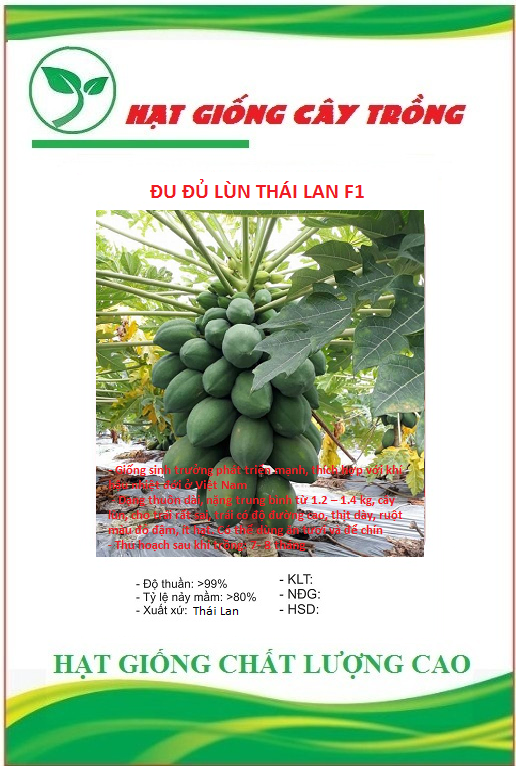 Hạt giống đu đủ lùn cao sản thái lan - gói 10 hạt