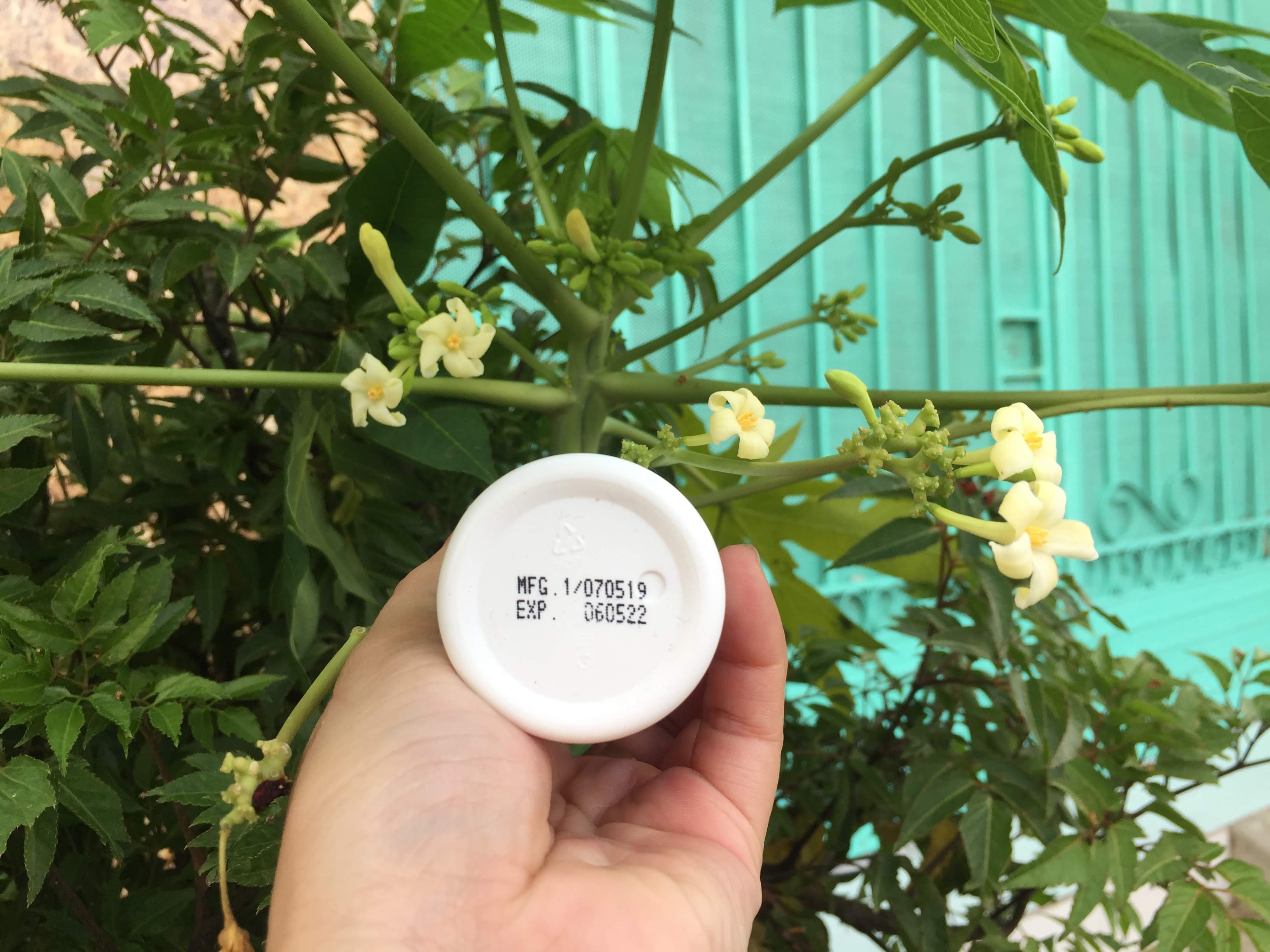 Combo 2 chai lăn nách Thái Lan Top Country 60 ml