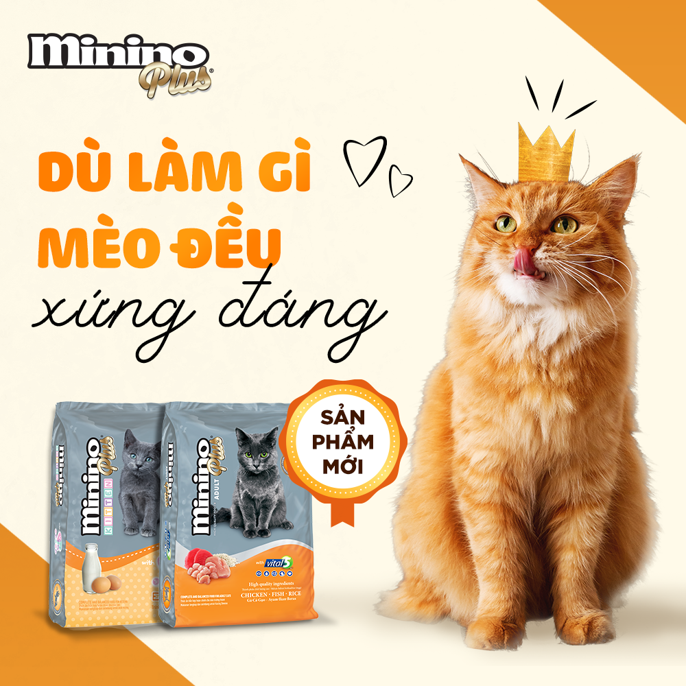 Hạt Cho Mèo Mọi Lứa Tuổi Minino Plus