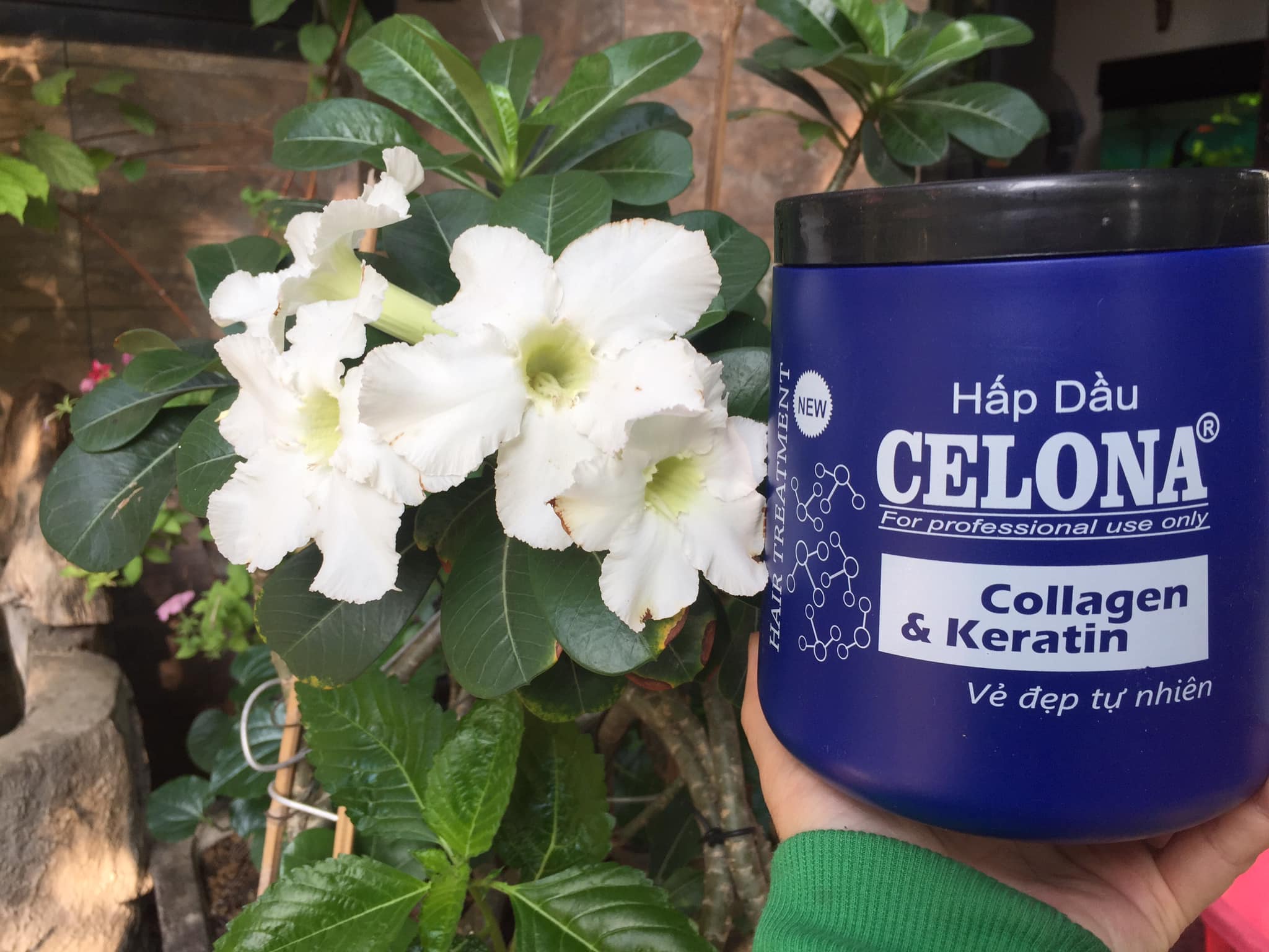 Hấp dầu CEOLONA Collagen & Karetin 1000 ml