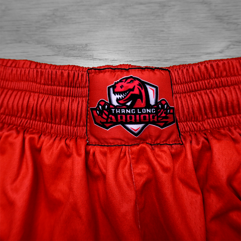 Đồ bóng rổ Thang Long Warriors VBA 2021