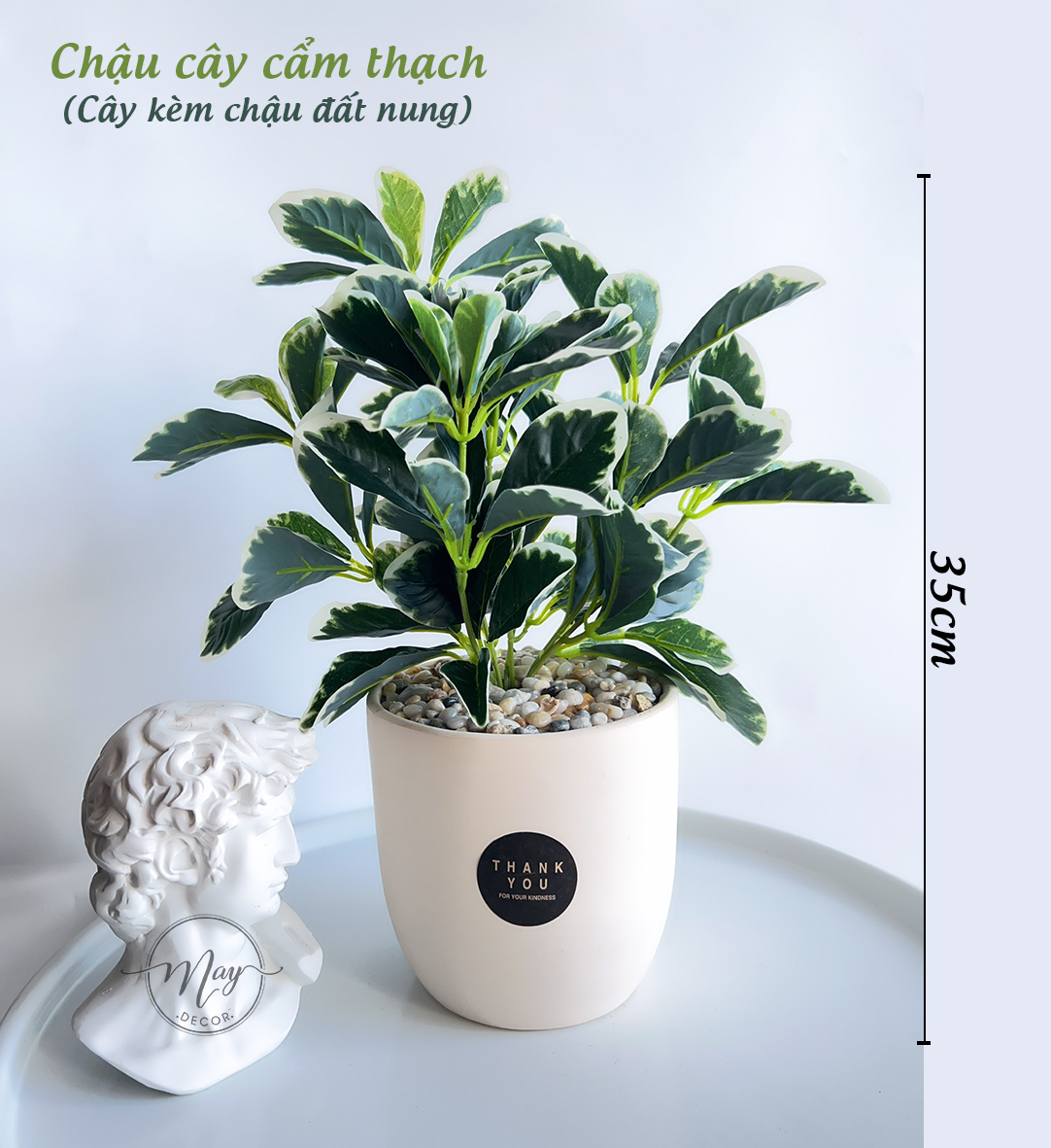 Cây giả decor, Chậu cây Xạ Hương, Hương Thảo,Cẩm thạch để bàn trang trí, chậu đất nung cao 40cm