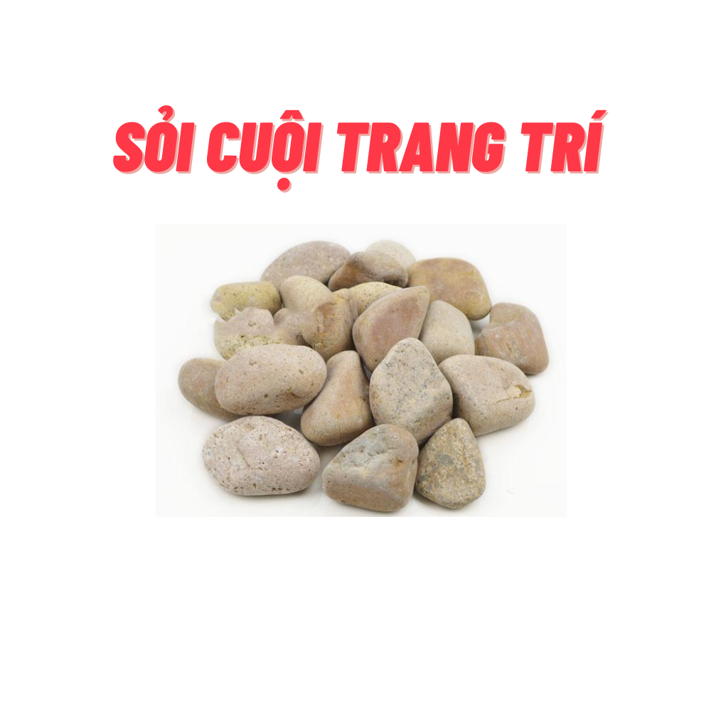 [Hoàn Tiền 10%] Sỏi cuội trang trí hồ cá 500g