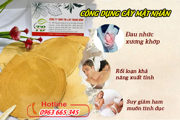 Cây Mật Nhân Khô 1KG - Thảo Dược Thanh Bình