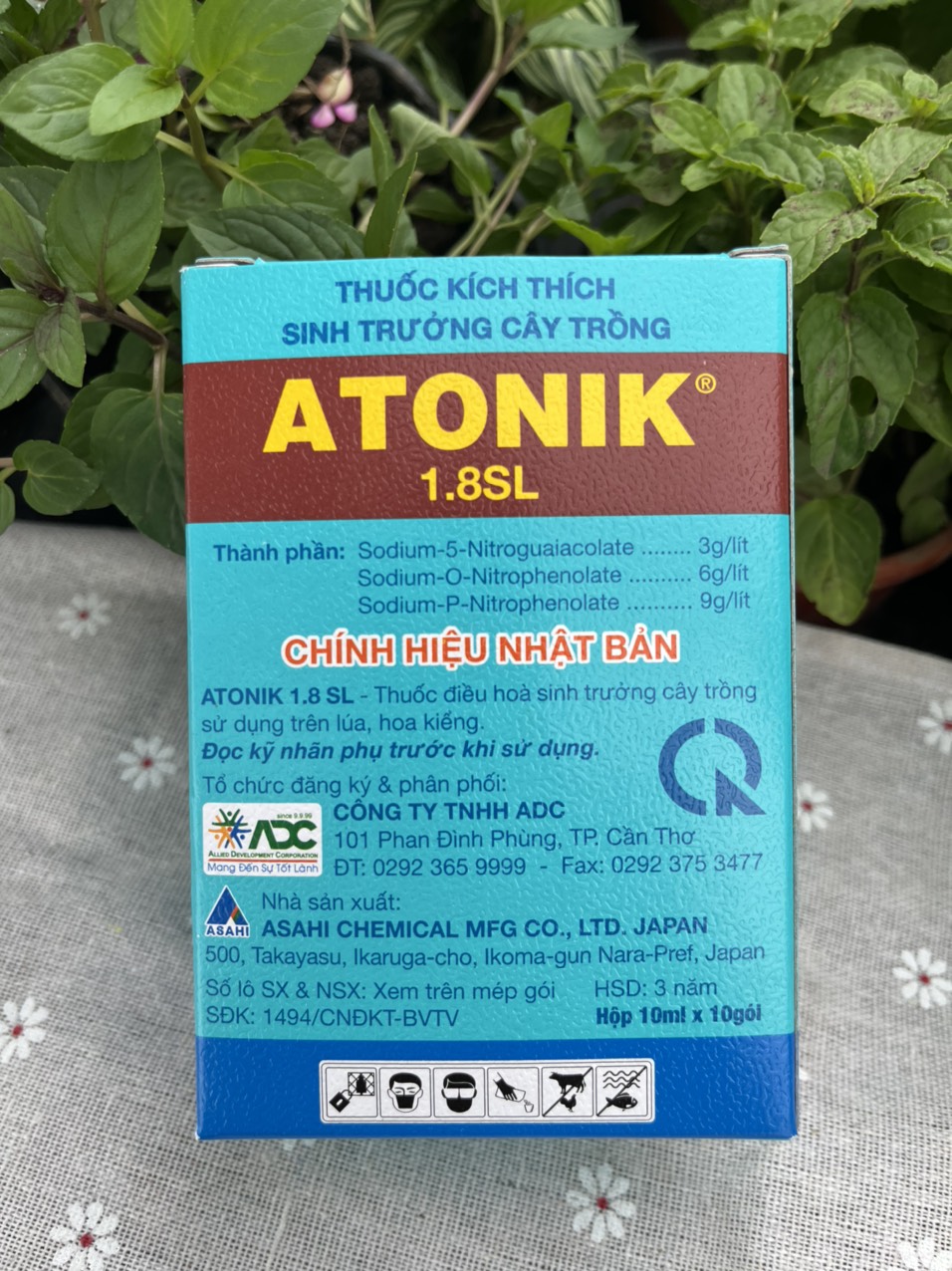 Atonik kích rễ cho cây