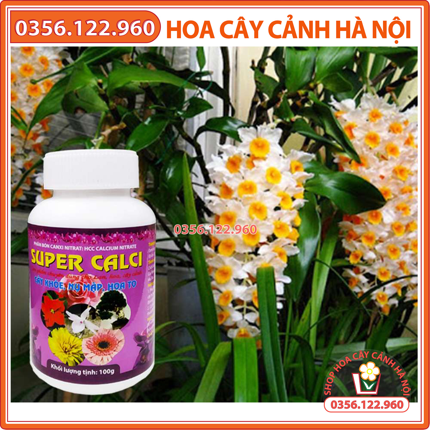 Phân bón lan nụ mập hoa to Super Calci lọ 100g