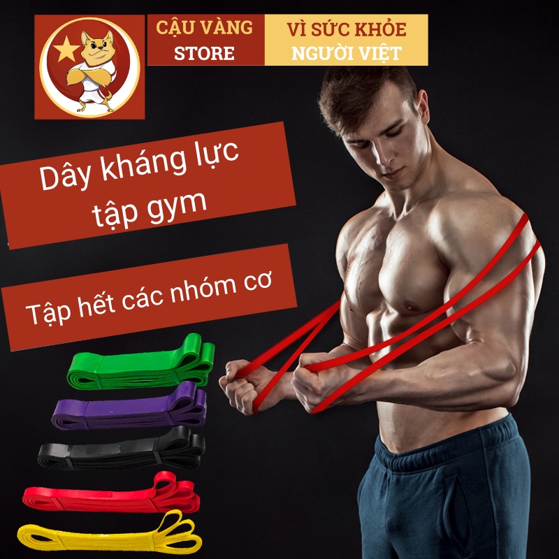 Dây kháng lực JUSTFIT tập gym power band, powerband tập tay, cao su dài đàn hồi trợ lực