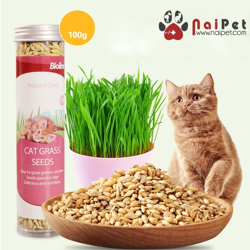 Trồng Cỏ Tươi Hạt Giống Cỏ Tươi Cho Mèo Cat Grass Seeds Bioline 100g CCT002