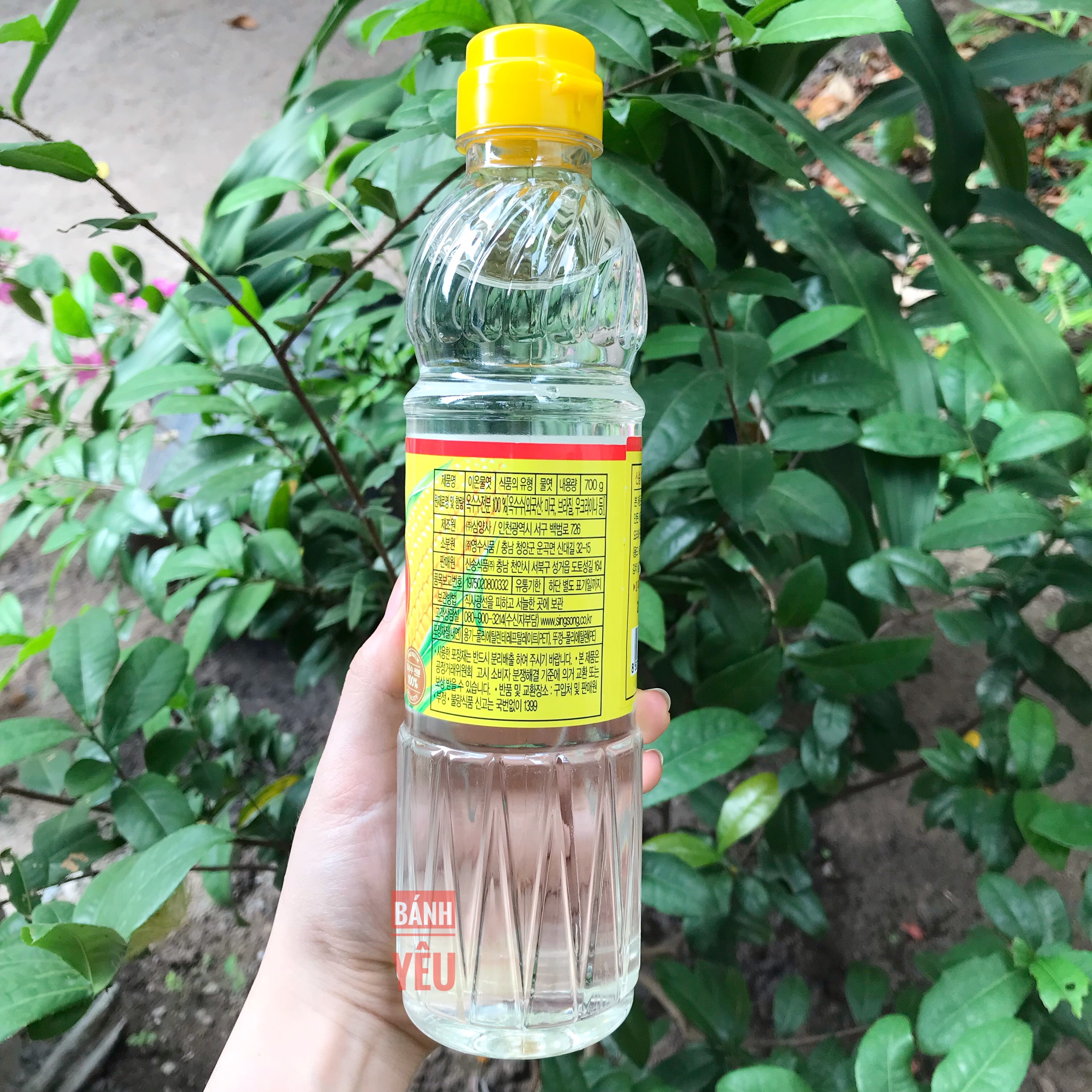 Siro bắp/ngô Hàn Quốc SingSong 700g - Corn Syrup 700g