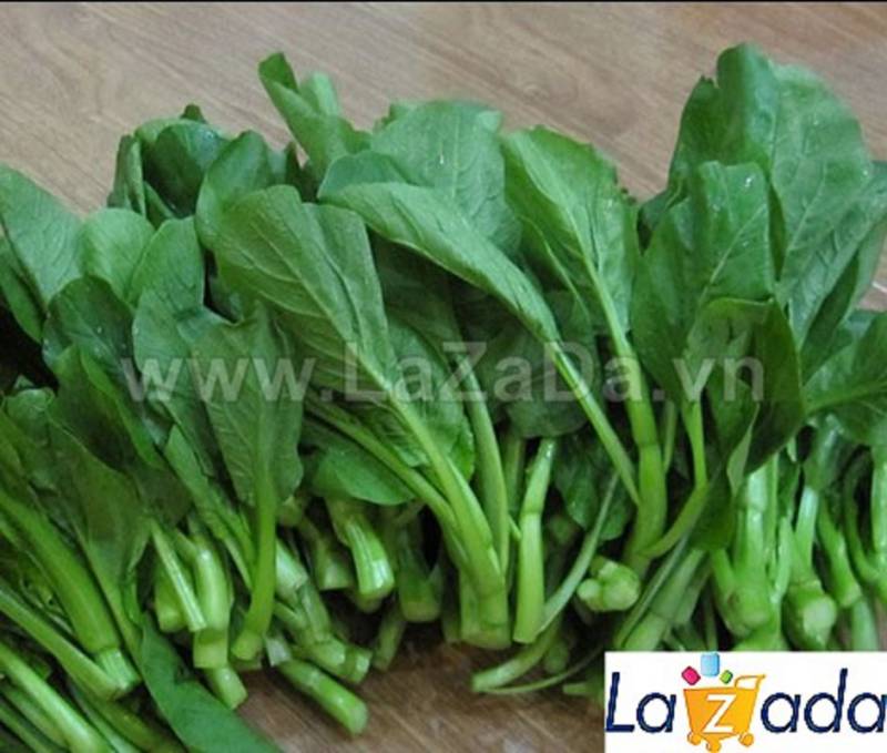 1KG Hạt Giống Cải Ngọt Ăn Bông (| G7*W55) (Brassica juncea)