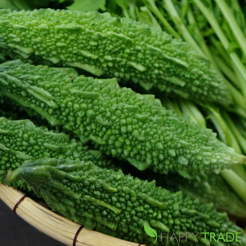 Hạt giống khổ qua xanh gai nhỏ khổ qua gai nhỏ 20 hạt giá rẻ