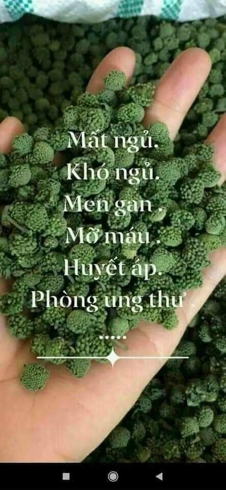 Nụ hoa tam thất khô