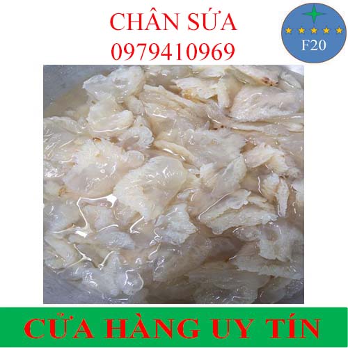 Chân sứa biển 500gr ngon tuyệt