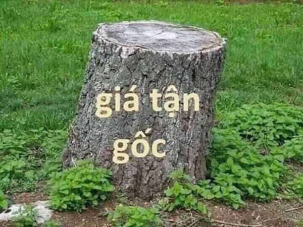 Chà Bông Gà Sấy Khô 1kg