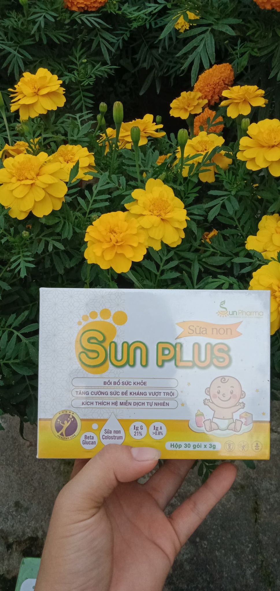 Men hữu cơ Sunplus