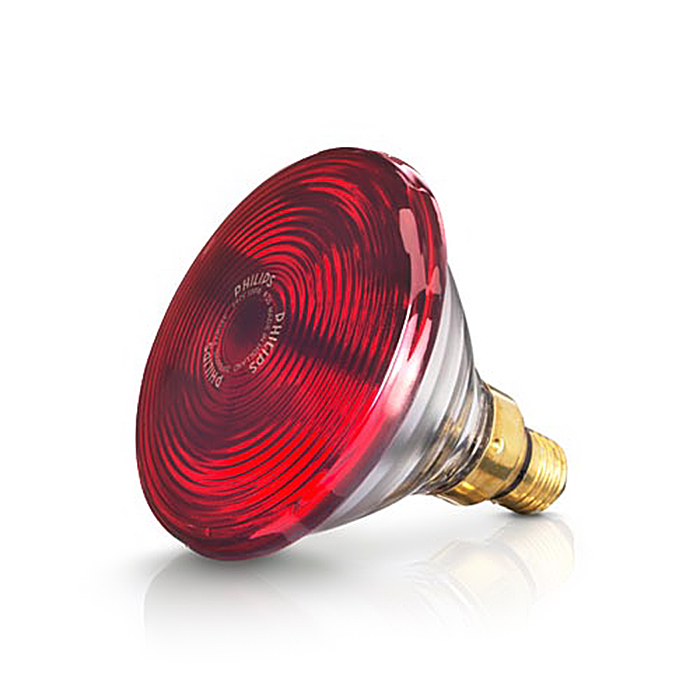 Bóng đèn hồng ngoại Philips Beurer B100w