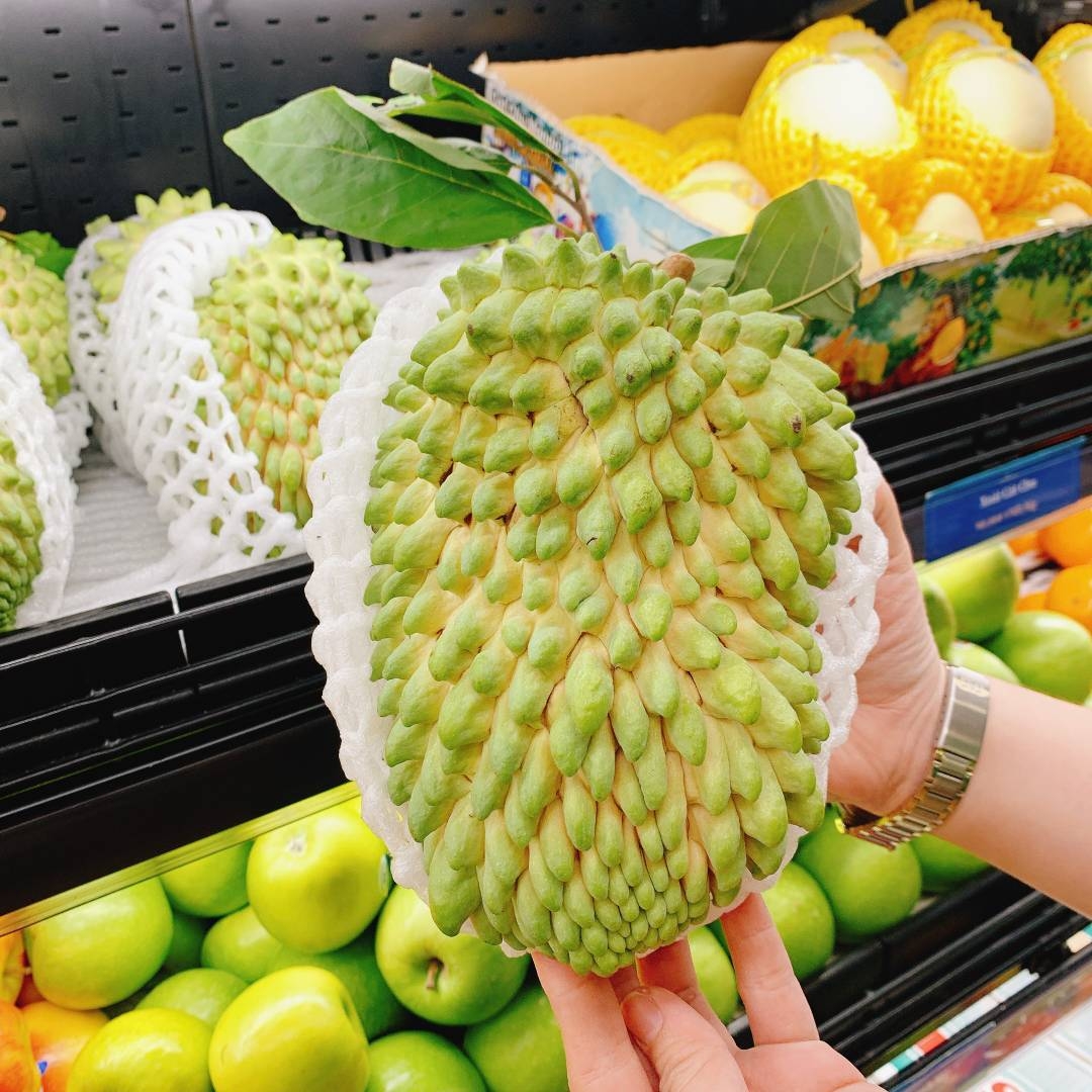 Cây giống na dai thái ( mãng cầu na thái)