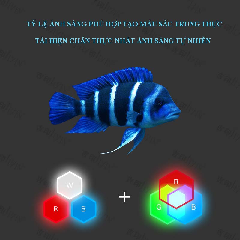 Đèn bể cá Ali Đầu Bò JIYIN