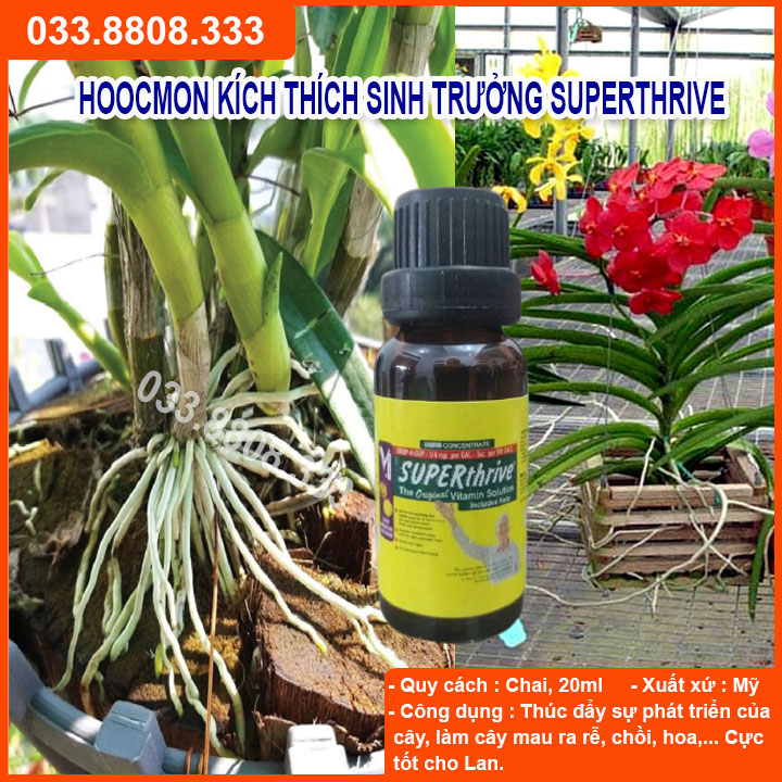 Kích Thích Sinh Trưởng SUPER THRIVE 20ml Chuyên Dùng Cho Hoa Lan
