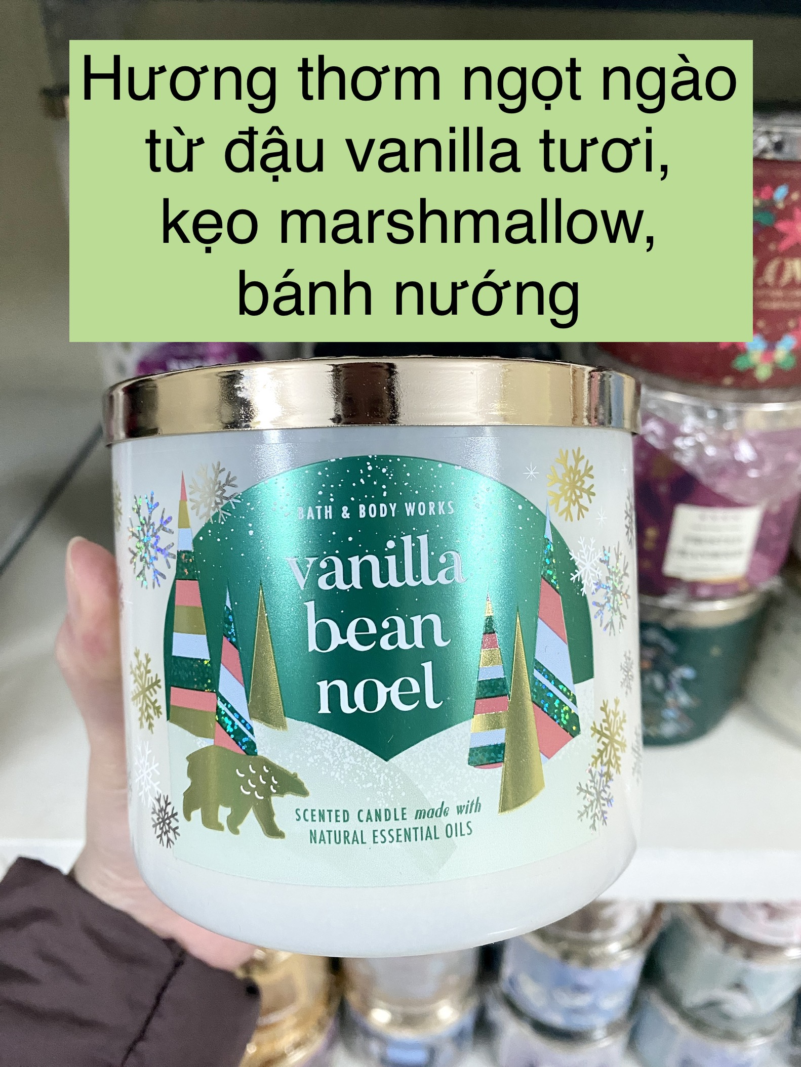 Nến thơm 3 bấc BATH AND BODY WORKS (BBW) 411g - Noel