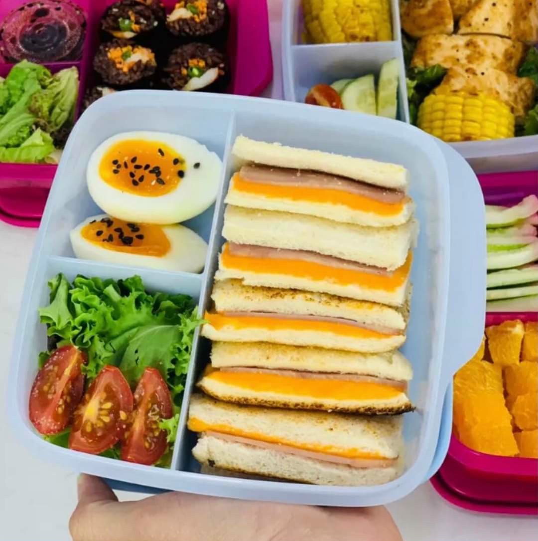 Hộp cơm Lolly Tup 550ml - Tupperware
