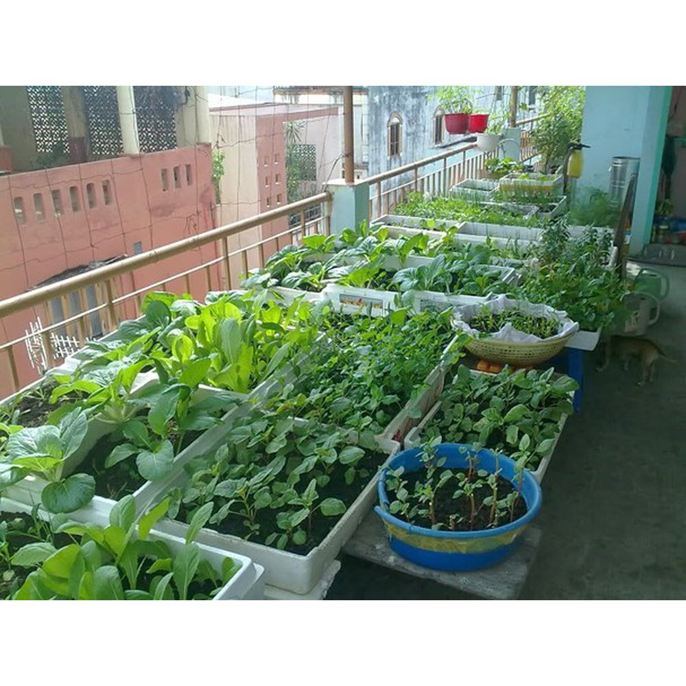 Đất sạch trồng rau, hoa,cây cảnh (10kg/ bao)