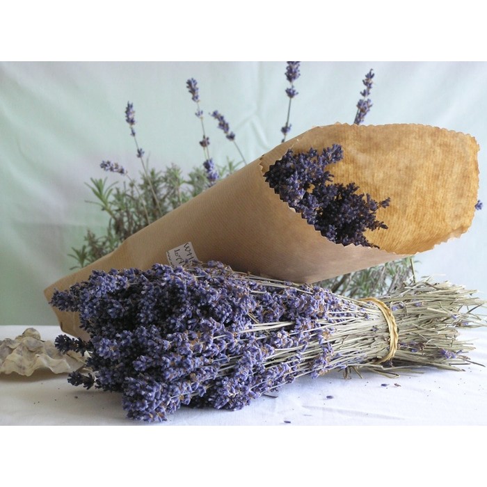 [HCM] Dầu Lăn Hương LAVENDER 8ml
