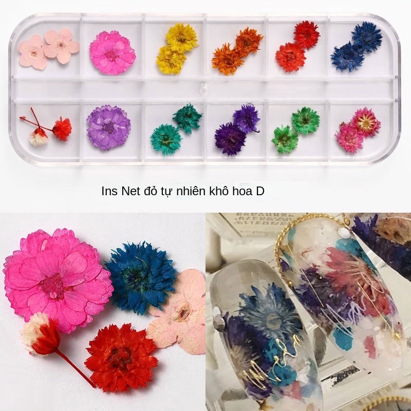 hoa khô nail làm nail dán móng tay