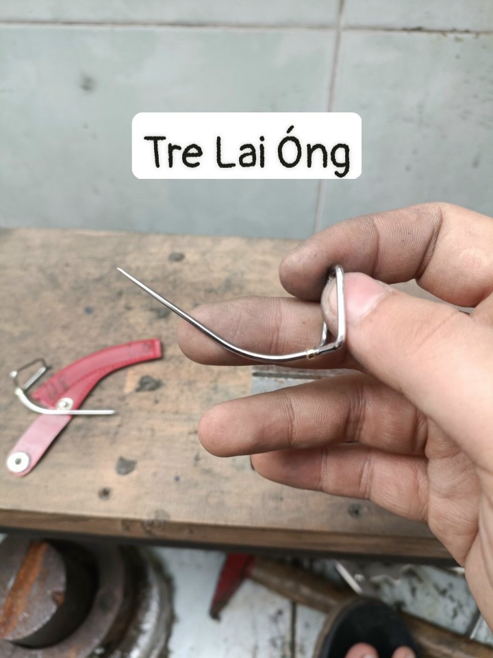 Cựa gà tre lai óng - Đủ Size