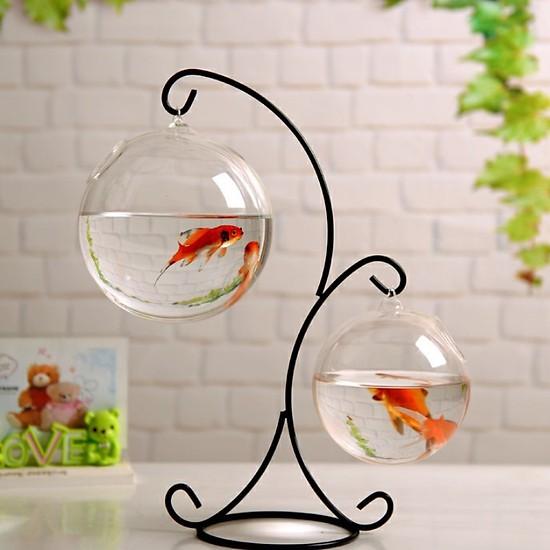 Bể cá mini Giá Treo tròn