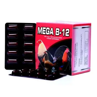 [HCM]Mega B12 (1 vỉ) - Pet Food Store.