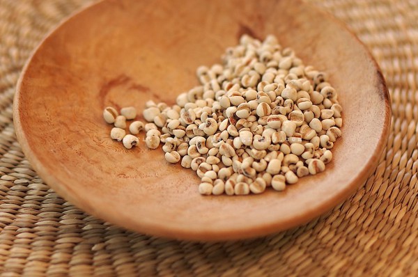 Hạt ý dĩ nếp, hạt bobo gói dùng thử 100gr