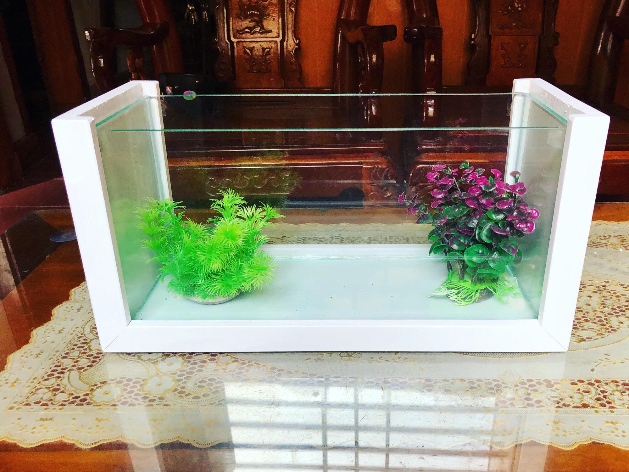 Bể mini khung gỗ cỡ lớn