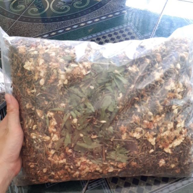 trà hông sâm sơn trà