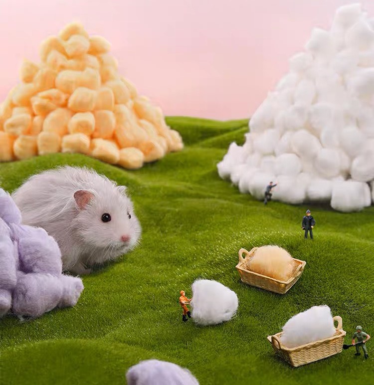 bông gòn candy dành cho hamster, sóc, fat tail, nhím,... - T3 PETS SHOP