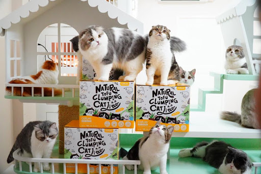 CÁT ĐẬU NÀNH CHO MÈO CATURE TOFU